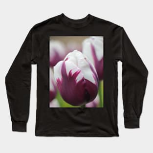 Tulip in White and Purple Long Sleeve T-Shirt